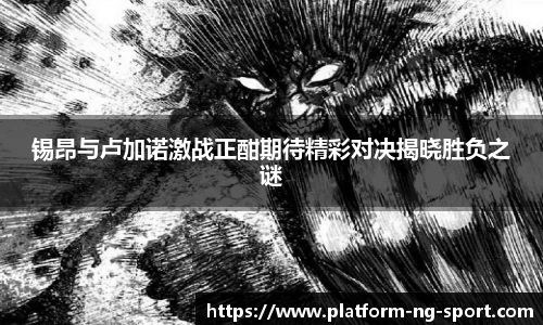 南宫体育