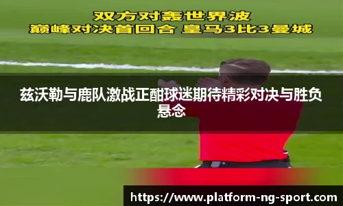 南宫体育