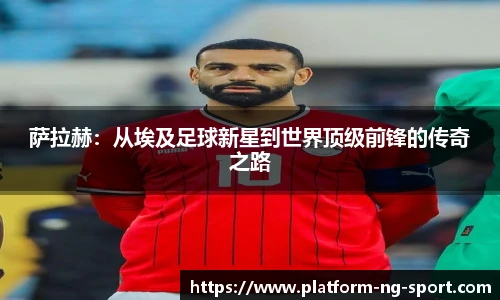 NG体育官网