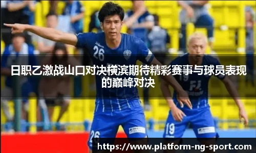 NG体育官网