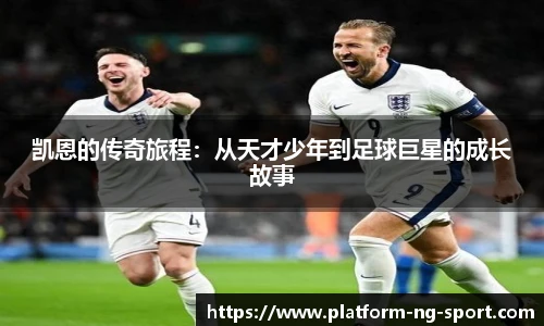NG体育官网
